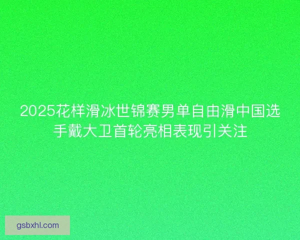 2025花样滑冰世锦赛男单自由滑中国选手戴大卫首轮亮相表现引关注 2025花样滑冰世锦赛男单自由滑中国选手戴大卫首轮亮相表现引关注