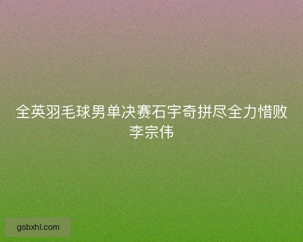 全英羽毛球男单决赛石宇奇拼尽全力惜败李宗伟