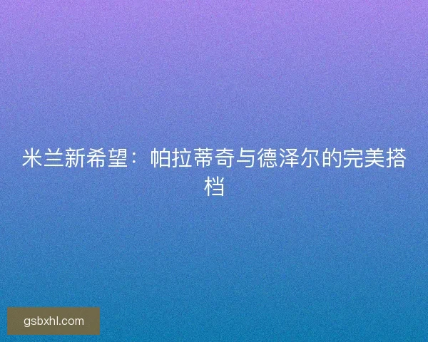 米兰新希望：帕拉蒂奇与德泽尔的完美搭档