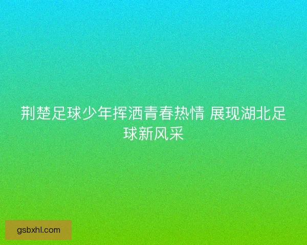 荆楚足球少年挥洒青春热情 展现湖北足球新风采 荆楚足球少年挥洒青春热情 展现湖北足球新风采